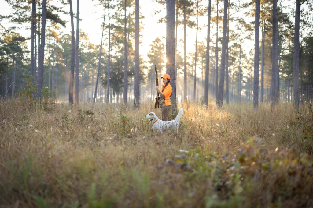 Quail hunting at Almost Heaven Plantation.